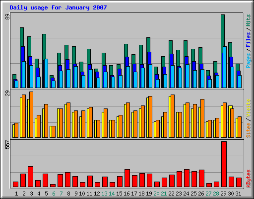 Daily usage for January 2007