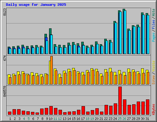 Daily usage for January 2025
