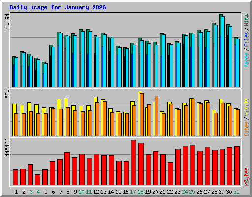 Daily usage for January 2026
