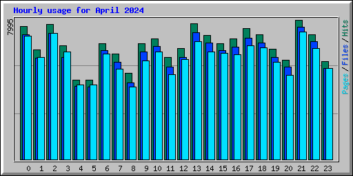 Hourly usage for April 2024
