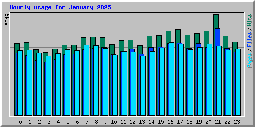 Hourly usage for January 2025