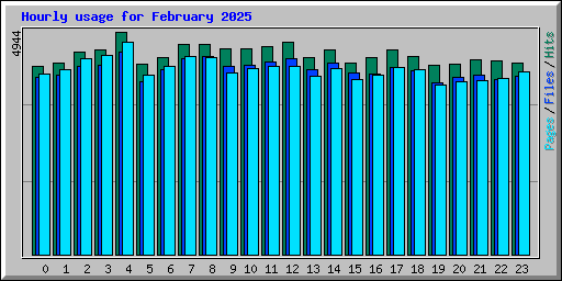 Hourly usage for February 2025
