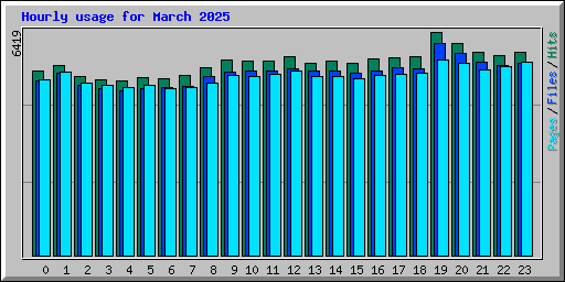 Hourly usage for March 2025
