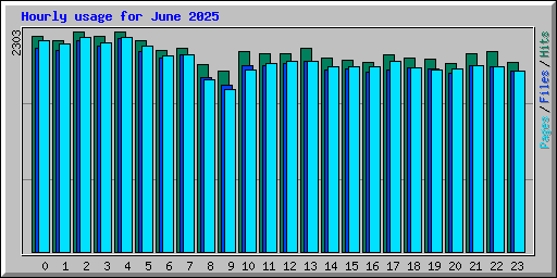Hourly usage for June 2025