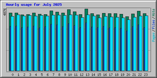Hourly usage for July 2025