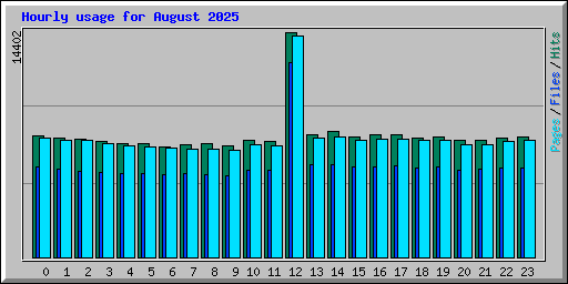 Hourly usage for August 2025