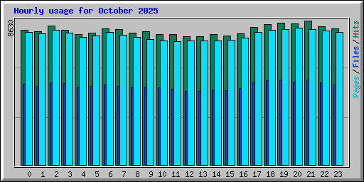 Hourly usage for October 2025