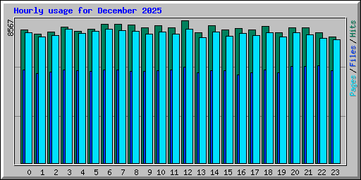 Hourly usage for December 2025