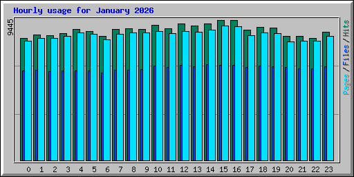 Hourly usage for January 2026