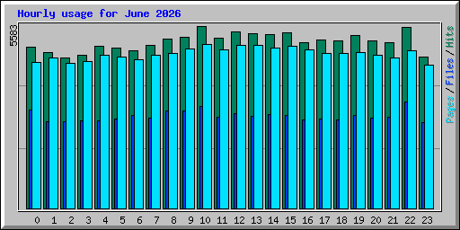 Hourly usage for June 2026