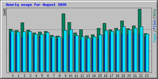 Hourly usage for August 2026